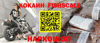 гидропоника Новозыбков