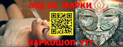 гидропоника Новозыбков