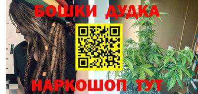 гидропоника Новозыбков