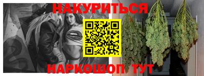 гидропоника Новозыбков