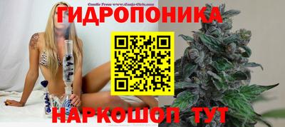 таблы Новодвинск