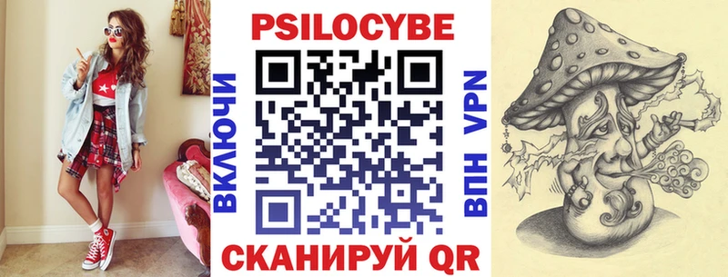 Псилоцибиновые грибы Psilocybine cubensis  Сертолово 