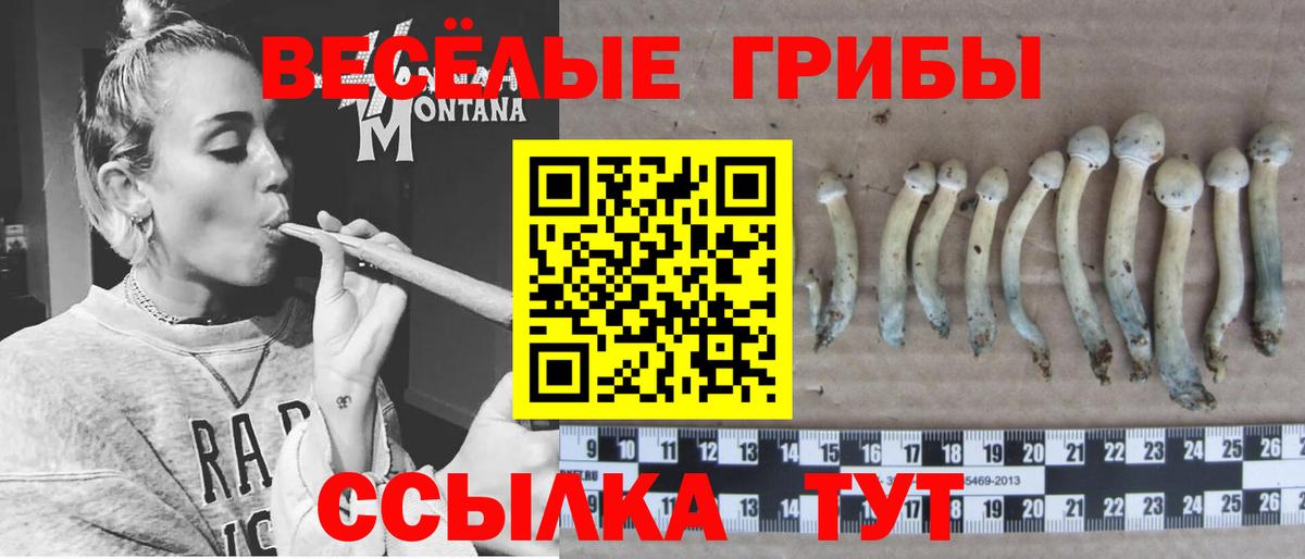 Сертолово  Галлюциногенные грибы мухоморы  Вход с VPN 